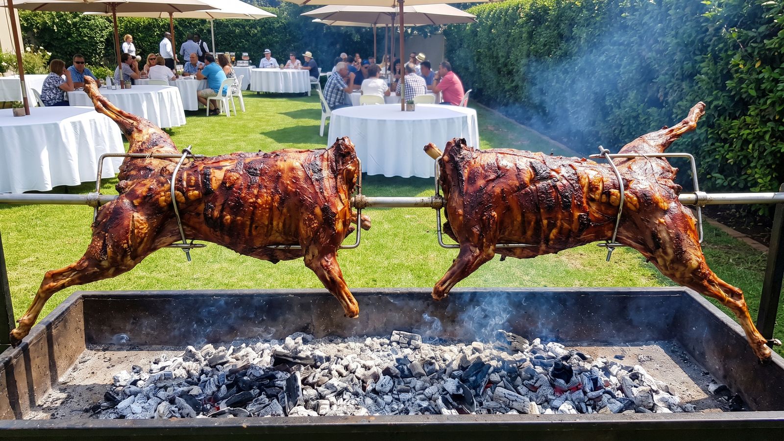 Spit braai calculator example: two whole lambs on two spit rods over one charcoal trough at a large function